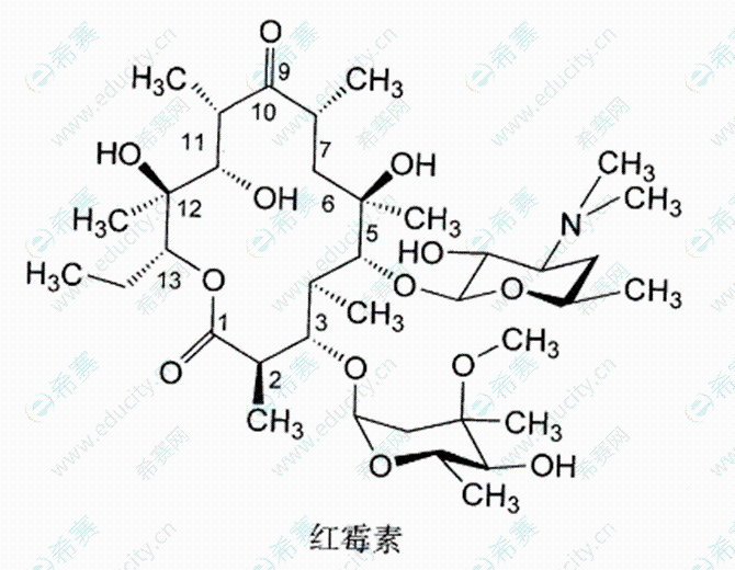 执业西药师考试高频知识点:红霉素