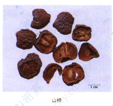 山楂:来源于蔷薇科植物山里红或山楂的干燥成熟果实.