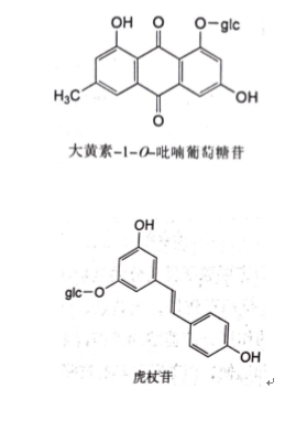 蒽醌类成分包括大黄素,大黄酚,大黄酸,大黄素甲醚-1-β-d-葡萄糖苷